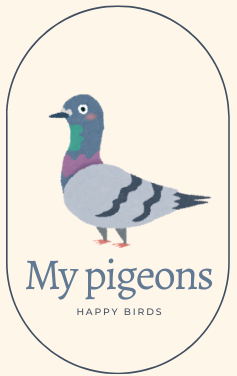 My pigeons 