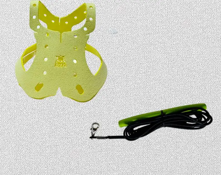 Pigeon Harness And Leash - Image 6