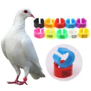 100 Pcs 10 Colors Foot Ring