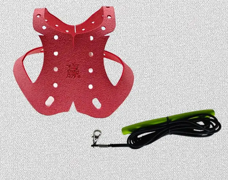 Pigeon Harness And Leash - Image 8