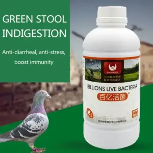 Micro-ecological Probiotics for Racing Pigeons